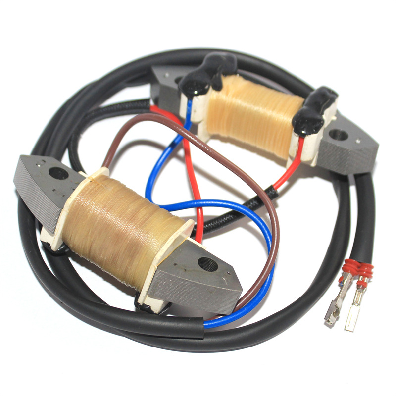 Bobina de encendido y bobina d - Outboard Motor 40Hp 2 Stroke reseña y precio