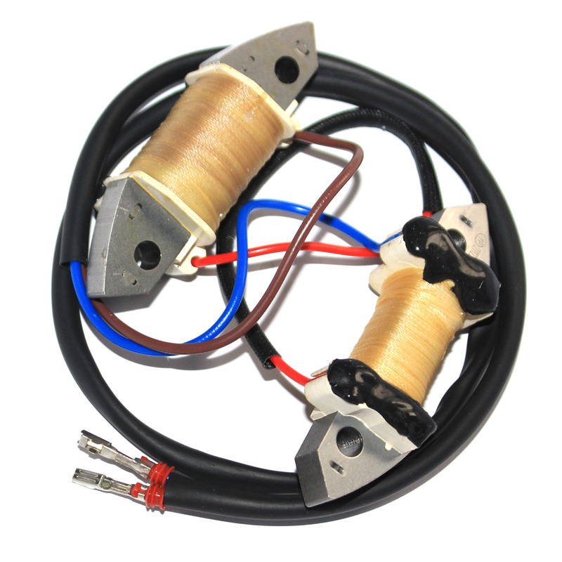 Bobina de encendido y bobina d - Outboard Motor 40Hp 2 Stroke reseña y precio